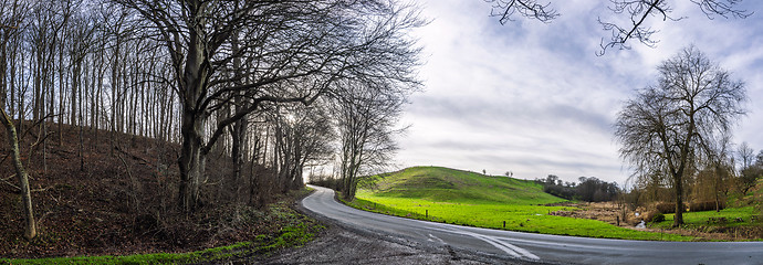 Image showing Curvy road in a forest panorama scene
