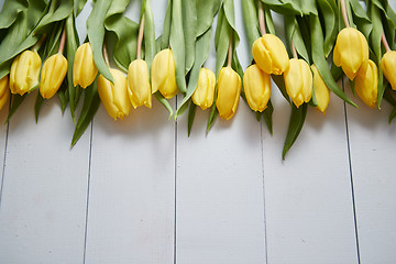 Image showing Row of fresh Yellow tulips on white wooden table