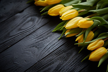 Image showing Composition of fresh yellow tulips placed in row on black rustic wooden table