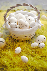 Image showing Easter white dotted Eggs in the nest and spring yellow grass