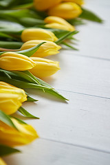 Image showing Row of fresh Yellow tulips on white wooden table