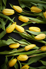 Image showing Yellow tulips placed on black table. Top view with flat lay