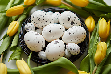Image showing Beautiful yellow tulips with dotted quail and chicken eggs in nest on white