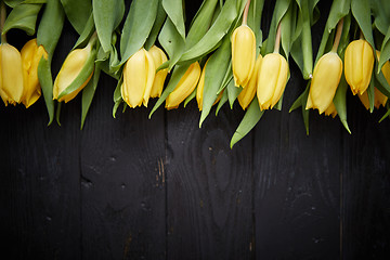 Image showing Beautiful yellow tulips on black rustic wooden background. Top view