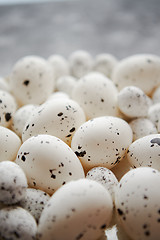 Image showing Close up composition of white traditional chicken and quail, black dotted Easter eggs