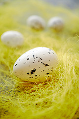 Image showing White Easter eggs with freckles placed on the yellow hay.