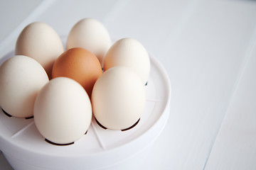 Image showing Chicken eggs in a egg electric cooker on a white wooden table