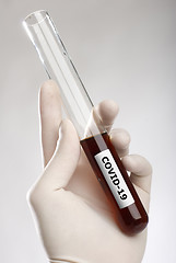 Image showing Coronavirus COVID-19