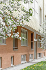 Image showing Facade of brick building and blooming trees