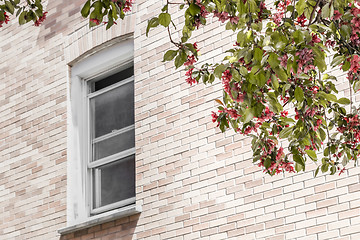 Image showing Window with a view over a blooming tree