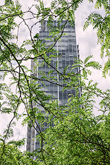 Image showing Modern skyscraper seen through green leaves