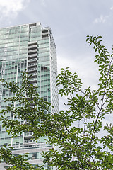 Image showing Modern glass building seen through green leaves