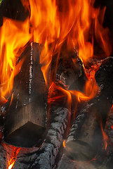 Image showing Bright birning wood close-up fireplace background.