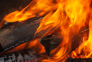 Image showing Burning bonfire close up background.