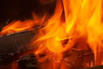 Image showing Macro view of burning bonfire background.