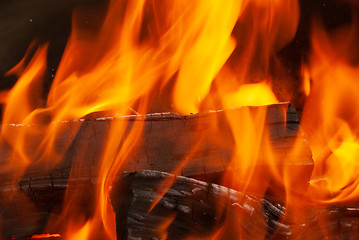 Image showing Natural background from burning fire wood.