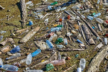 Image showing Plastic bottles in water