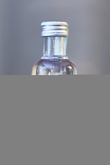 Image showing Absolut Vodka small bottle