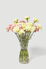 Image showing Glass vase with bouquet from fresh beautiful carnation flowers.