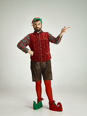 Image showing friendly man dressed like a funny gnome posing on an isolated gray background