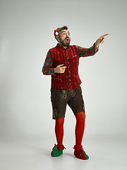 Image showing friendly man dressed like a funny gnome posing on an isolated gray background