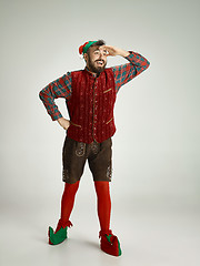 Image showing friendly man dressed like a funny gnome posing on an isolated gray background