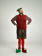 Image showing friendly man dressed like a funny gnome posing on an isolated gray background