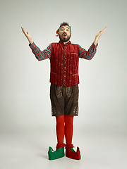 Image showing friendly man dressed like a funny gnome posing on an isolated gray background