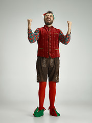 Image showing friendly man dressed like a funny gnome posing on an isolated gray background