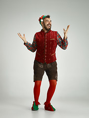 Image showing friendly man dressed like a funny gnome posing on an isolated gray background