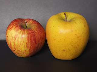 Image showing yellow and red apple fruit food