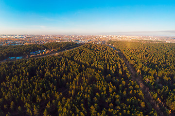 Image showing Aerial view of winter forest.