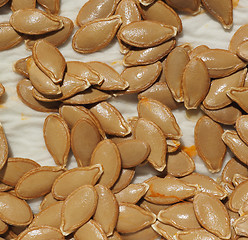 Image showing pumpkin squash seed