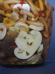 Image showing mixed champignons and porcini mushrooms in jar