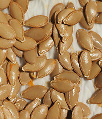 Image showing pumpkin squash seed