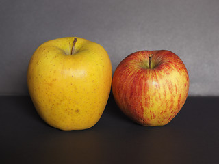 Image showing yellow and red apple fruit food