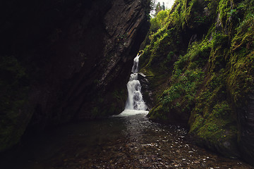 Image showing Estyube Waterfall at Lake Teletskoye
