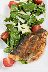 Image showing Grilled Dorado fish fillet