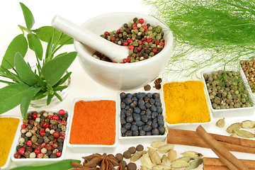 Image showing Herbs and spices