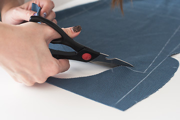 Image showing Designer Cutting Fabric