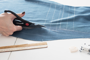 Image showing Designer Cutting Fabric