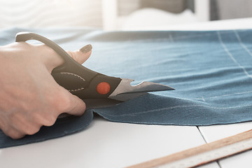 Image showing Designer Cutting Fabric