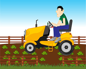 Image showing Man farmer on garden tractor in vegetable garden