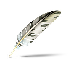 Image showing beautiful feather with shadow on white