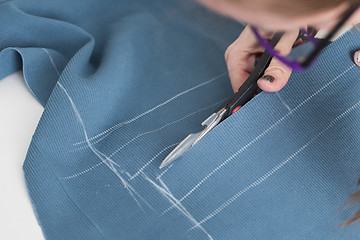 Image showing Designer Cutting Fabric