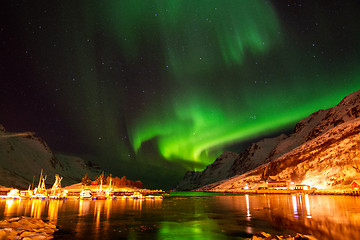 Image showing Aurora Borealis, Harbour Ersfjordbotn, Norway