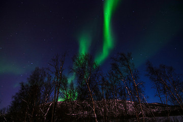 Image showing Aurora Borealis, River Eibyelva, Alta, Norway