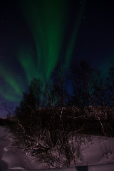 Image showing Aurora Borealis, River Eibyelva, Alta, Norway