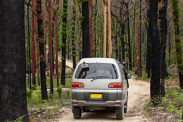 Image showing Driving the back roads of Mogo through burnt bush land