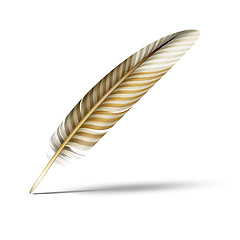 Image showing beautiful feather with shadow on white
